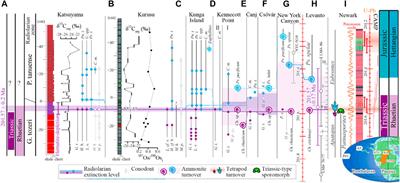 Did changes in terrigenous components of deep-sea cherts across the end-Triassic extinction relate to Central Atlantic magmatic province volcanism?